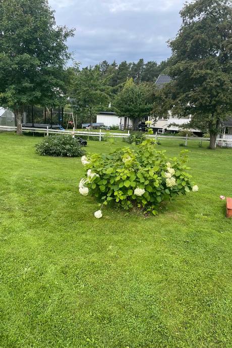 5 rum Villa på Floragatan 4 Häggetorp Tibro kommun - bild 48