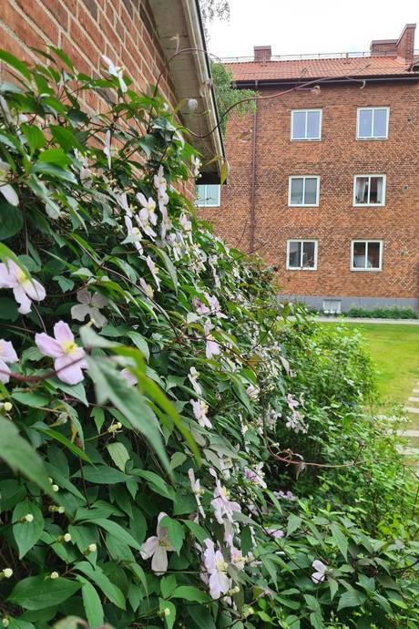 2 rum Lägenhet på Mäster jacobs gata 1B Slottshöjden Helsingborgs kommun - bild 15