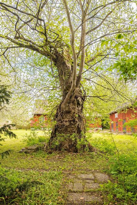 10 rum Villa på Bommagatan 9 Centralt Skara kommun - bild 52