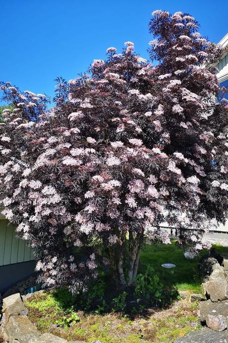 4 rum Villa på Gömmebergsvägen 26 Svanesund Orust kommun - bild 27