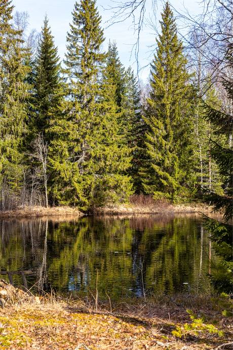 1 rum Villa på Sävsjön 55 Hällefors Hällefors kommun - bild 27