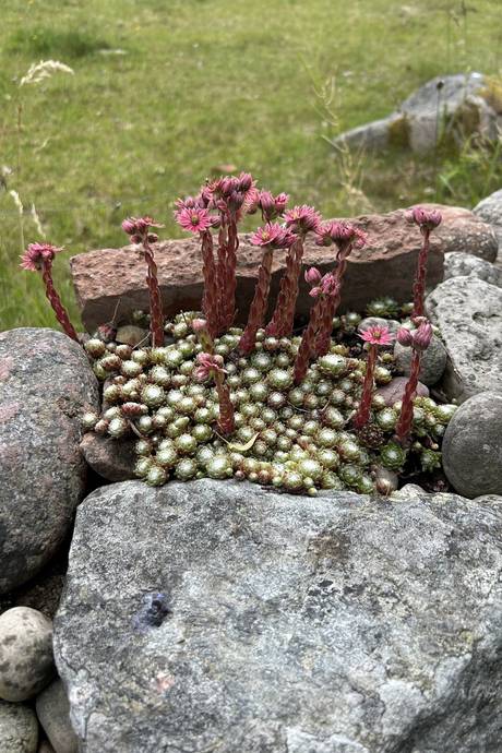 4 rum Villa på Venenäs 115 Rockneby Kalmar kommun - bild 34
