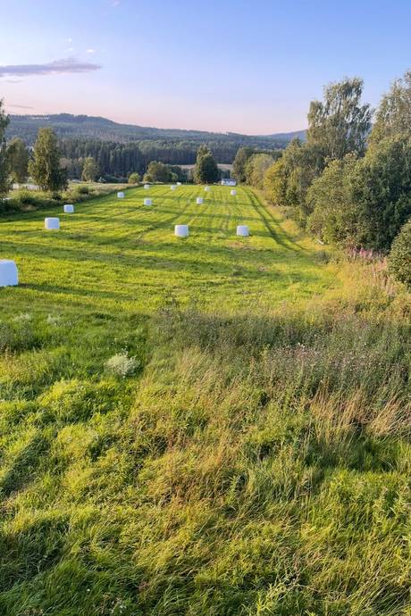 5 rum Gård med jordbruk på Öckne 110 Stöde Sundsvalls kommun - bild 28