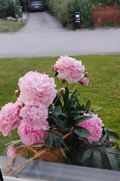 7 rum Villa på GRÄVLINGEVÄGEN 9 Önsta-gryta Västerås kommun - bild 28