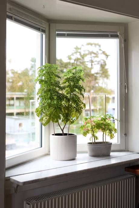2 rum Lägenhet på Riddaregatan 7C Funkabo Kalmar kommun - bild 9
