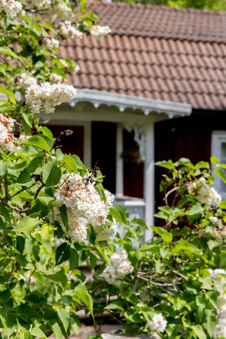 4 rum Villa på Älmhultsbro 109 Ruda Högsby kommun - bild 14