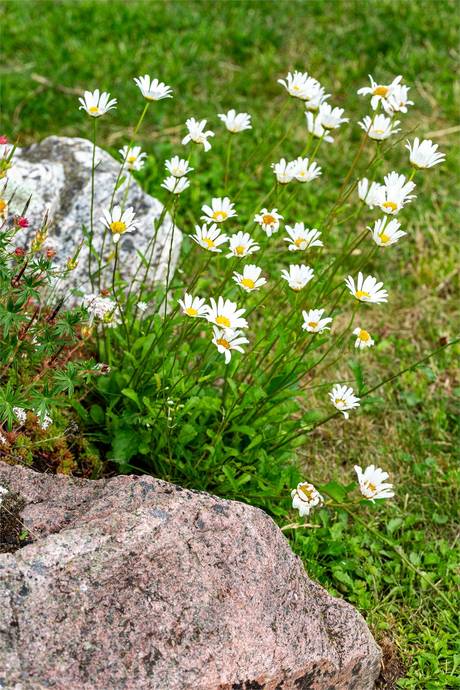 6 rum Villa på Bleckkärlsgränd 14 Kungsörs kommun - bild 46