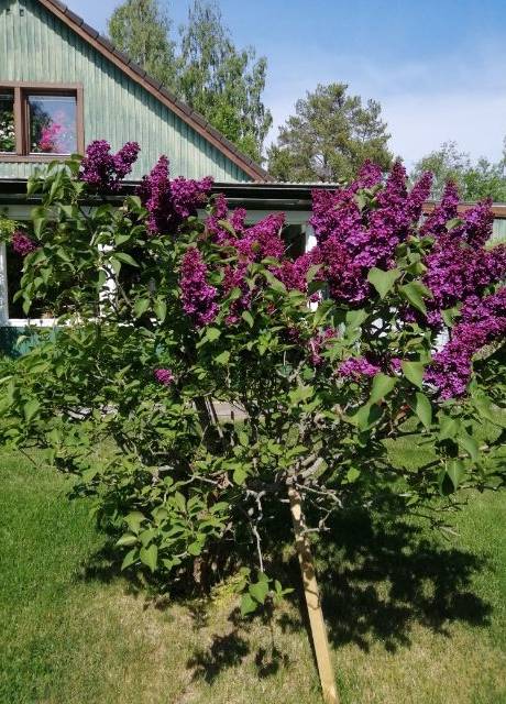 7 rum Villa på Tussmorvägen 27 Näsviken Hudiksvalls kommun - bild 24