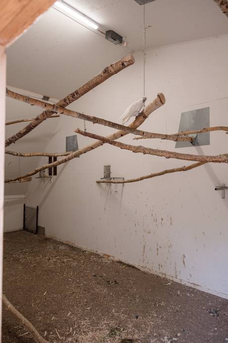 6 rum Gård utan jordbruk på Möklinta Hebo 112 Möklinta Sala kommun - bild 58