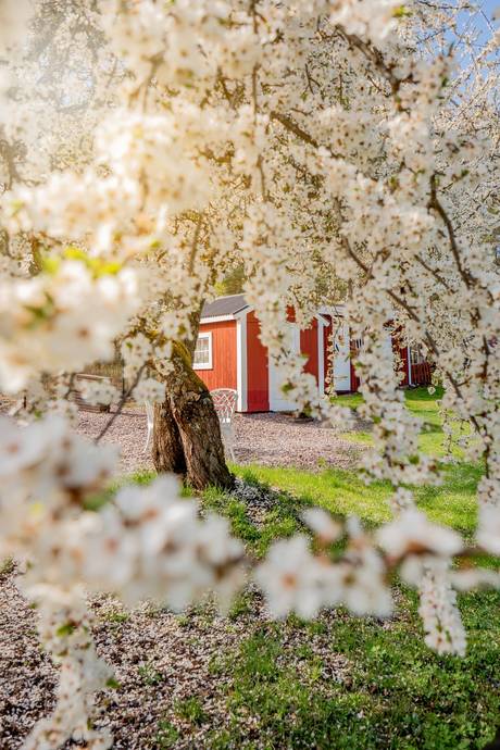 3 rum Vinterbonat fritidshus på Gladhammar Andersbo Västervik Västerviks kommun - bild 33