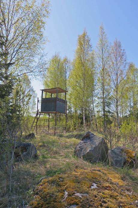 Gård/skog på Norrlövsta Östhammars kommun - bild 11