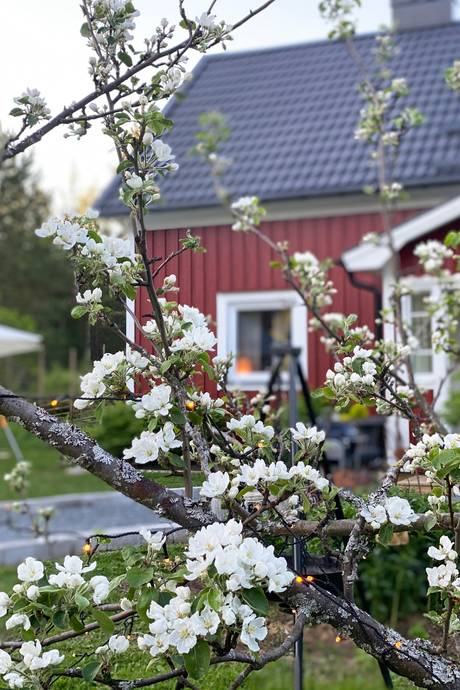 4 rum Villa på Soldatvägen 65 Grundvik Piteå kommun - bild 11