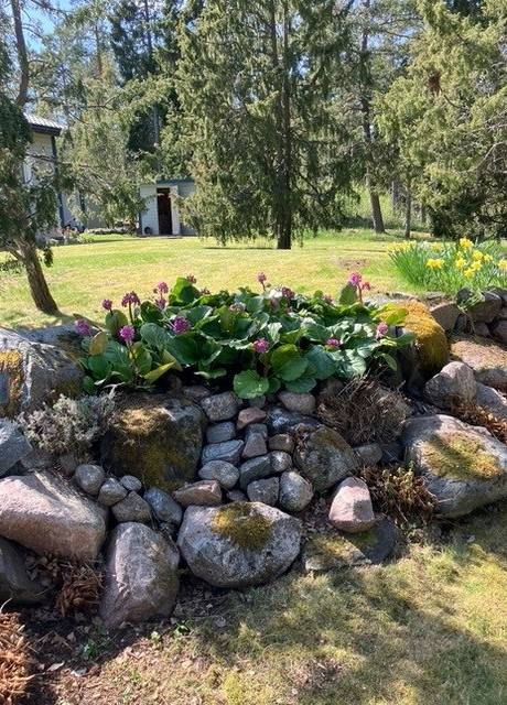 4 rum Fritidshus på Söderby 76 Öregrund Östhammars kommun - bild 49