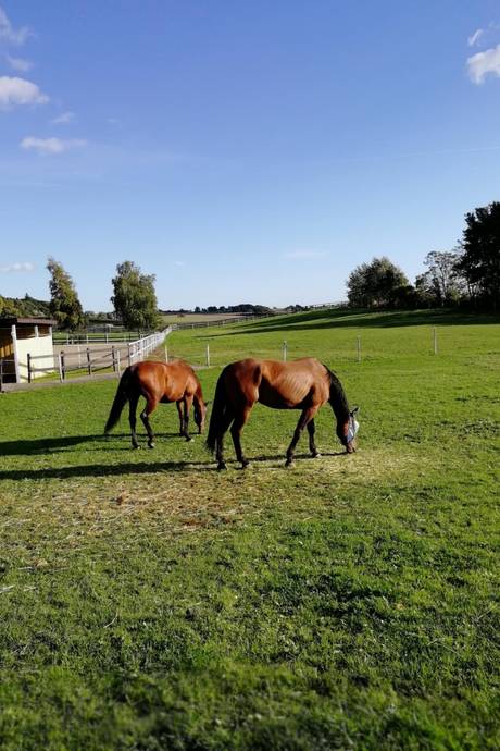 6 rum Villa på KRÅKEGÅRDSVÄGEN 20 Krågeholm Svedala kommun - bild 53