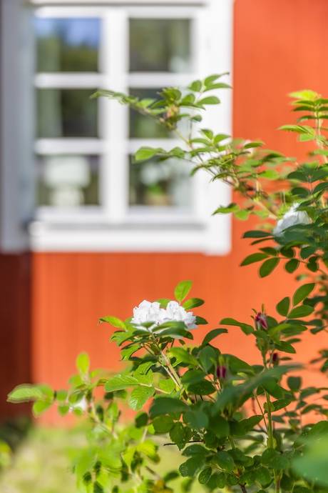 4 rum Vinterbonat fritidshus på Norsvägen 27 Söderbärke Smedjebackens kommun - bild 39