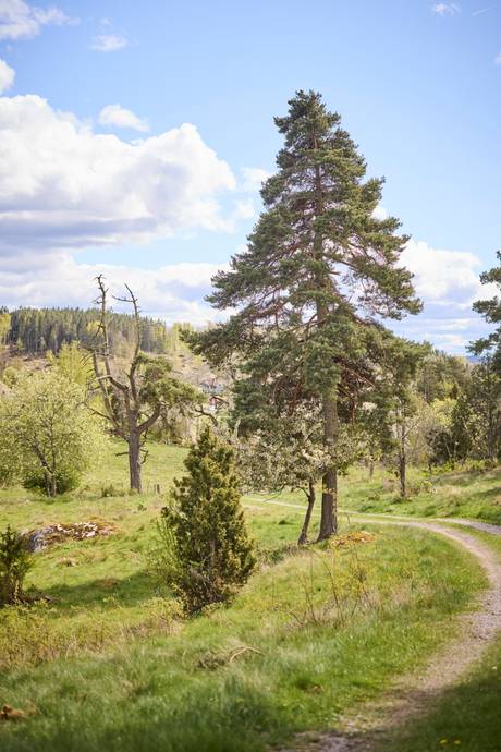 4 rum Villa på Skäggsbol 5 Ölmstad Jönköpings kommun - bild 64