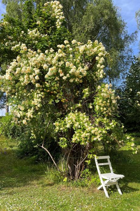 5 rum Villa på Vattenverksvägen 23 Åkerstorp Österåkers kommun - bild 7