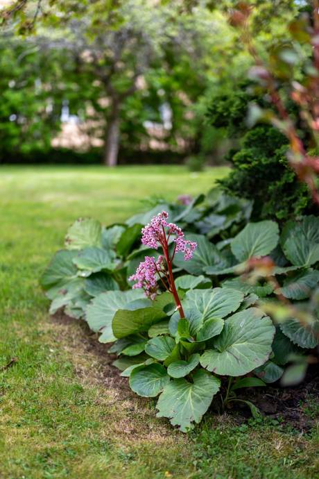 8 rum Villa på Rundelsgatan 1 Hejdegården Linköpings kommun - bild 27