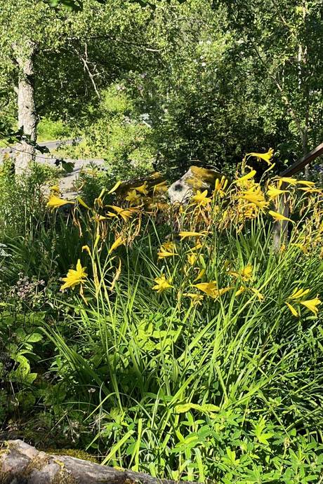 3 rum Vinterbonat fritidshus på Ärilvägen 20 Östhammar Östhammars kommun - bild 32