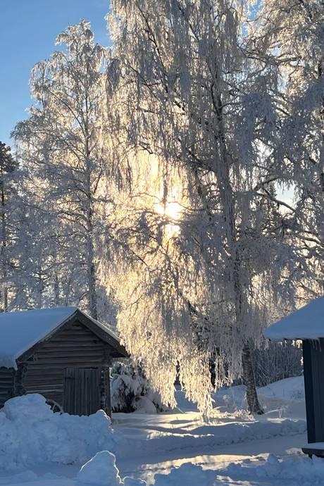 4 rum Vinterbonat fritidshus på Östbjörka Kattbacksvägen 19 Östbjörka Rättviks kommun - bild 36