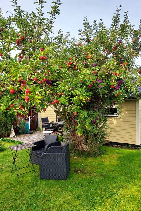 2 rum Fritidsboende på NOLHAGA KOLONIFÖRENING 107 Alingsås Tätort Alingsås kommun - bild 21