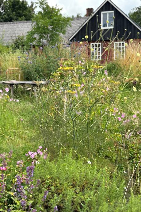 4 rum Villa på Ängslyckevägen 7 Onslunda Tomelilla kommun - bild 27