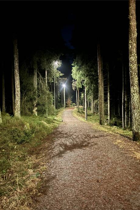 3 rum Radhus på Sparrfeltsgatan 226 Kristineberg Borås kommun - bild 29