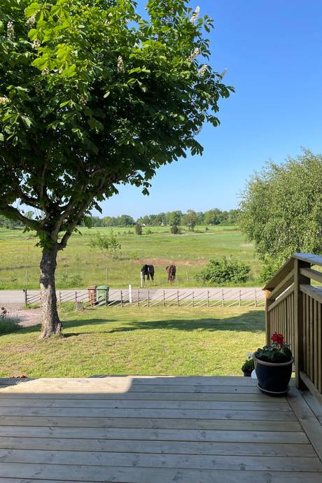 4 rum Villa på Södra Korpemåla 906 Korpemåla Mönsterås kommun - bild 23