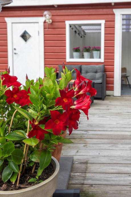 3 rum Fritidshus på Erssons väg 3 Närsjö Eskilstuna kommun - bild 37