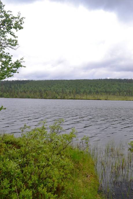 Gård utan jordbruk på Harrijärvi tomt 3 Harrijärvi Gällivare kommun - bild 25