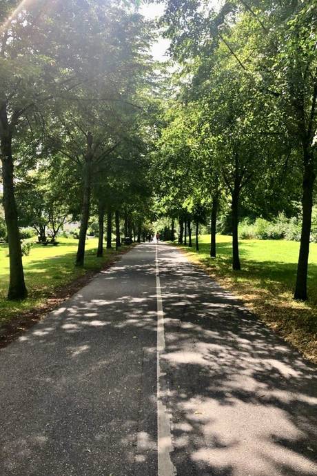 1 rum Lägenhet på Jungfrudansen 15 Västra Skogen/ Huvudsta Solna kommun - bild 31