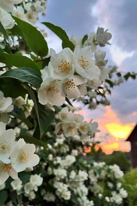 7 rum Villa på Järnbol Dammlyckan   Säffle kommun - bild 52