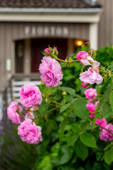 6 rum Villa på Bleckkärlsgränd 14 Kungsörs kommun - bild 44