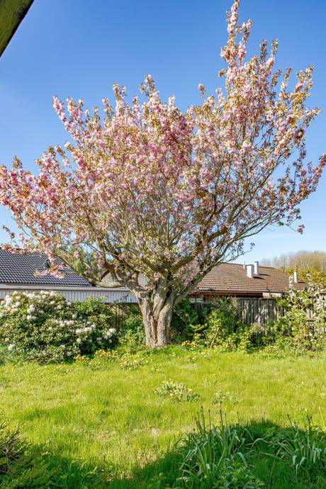 5 rum Villa på Yxenvägen 9 Alet Halmstads kommun - bild 31