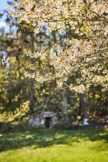 4 rum Villa på Skäggsbol 5 Ölmstad Jönköpings kommun - bild 61