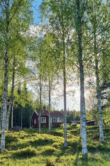 1 rum Fritidshus på Djursjön 220 Djursjön Leksands kommun - bild 18