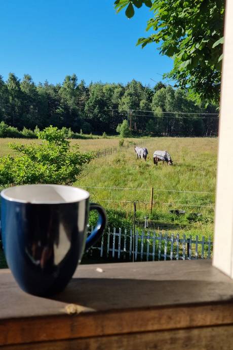 Gård utan jordbruk på Tannamsfjället 2 Tanumshede Tanums kommun - bild 13