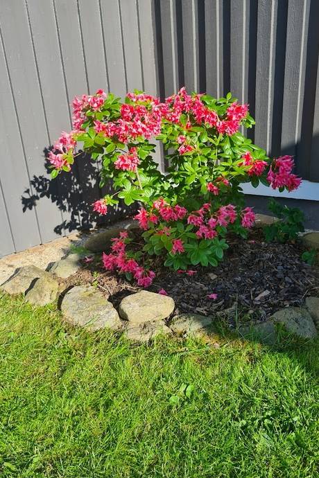 9 rum Villa på Kållasgårdsgatan 87 Varla Kungsbacka kommun - bild 39