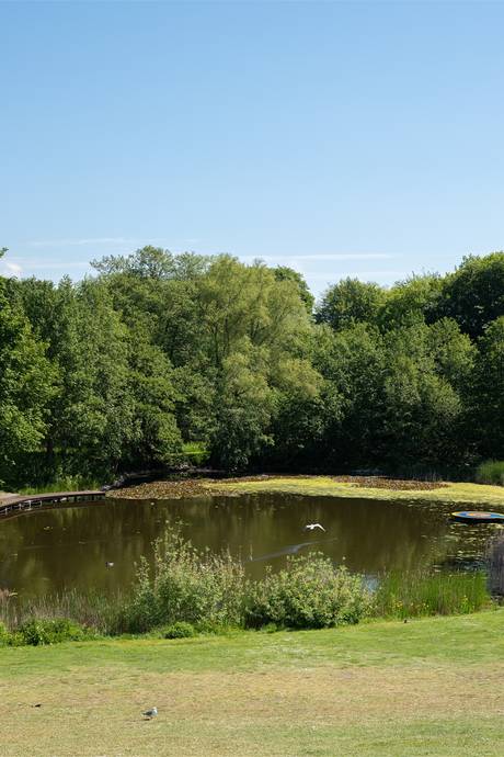 2 rum Lägenhet på Sandbackegången 4C Kirseberg Malmö kommun - bild 30