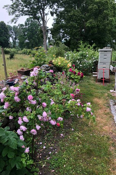 4 rum Villa på Venenäs 115 Rockneby Kalmar kommun - bild 37
