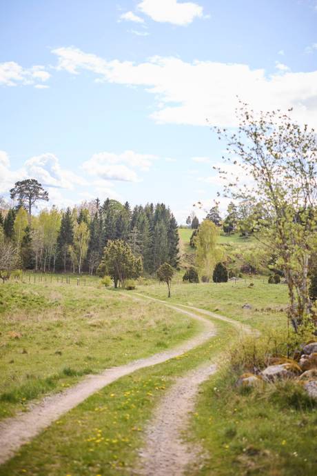 4 rum Villa på Skäggsbol 5 Ölmstad Jönköpings kommun - bild 65