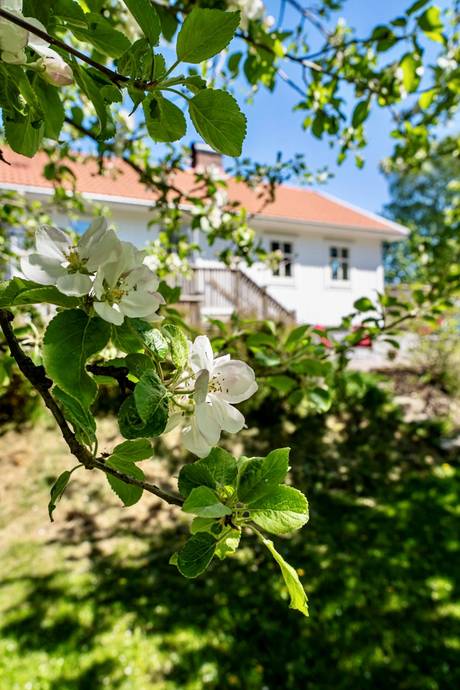 4 rum Villa på Norrkila 102 Lysekils kommun - bild 11