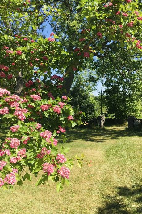 6 rum Gård/skog på Gunnarstorp Nolgården 14 Gullspångs kommun - bild 47