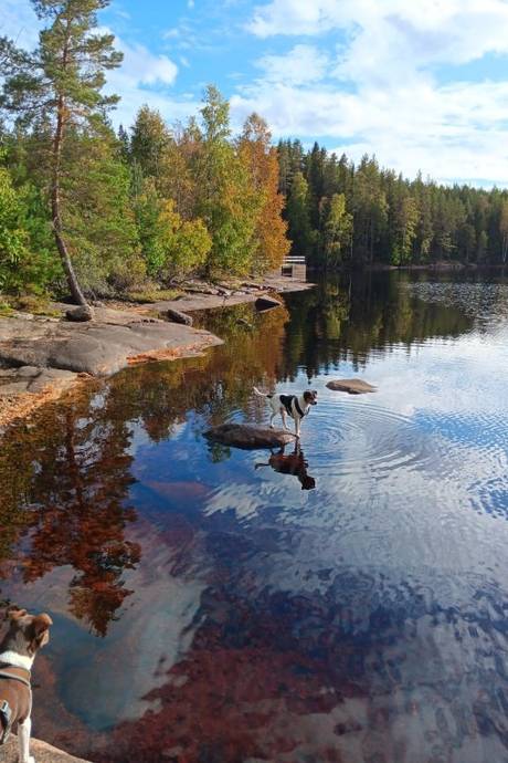 4 rum Vinterbonat fritidshus på Brygghusvägen 1 Noraån Borlänge kommun - bild 46