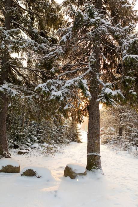 3 rum Lägenhet på Stenmarksvägen 6 Haga Umeå kommun - bild 30