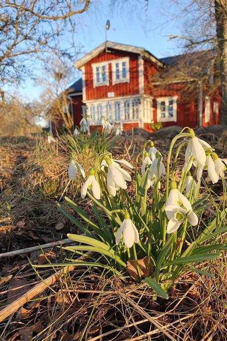 3 rum Vinterbonat fritidshus på Barne-Åsaka Jonastorp 704 Jonslund Med Omnejd Essunga kommun - bild 42