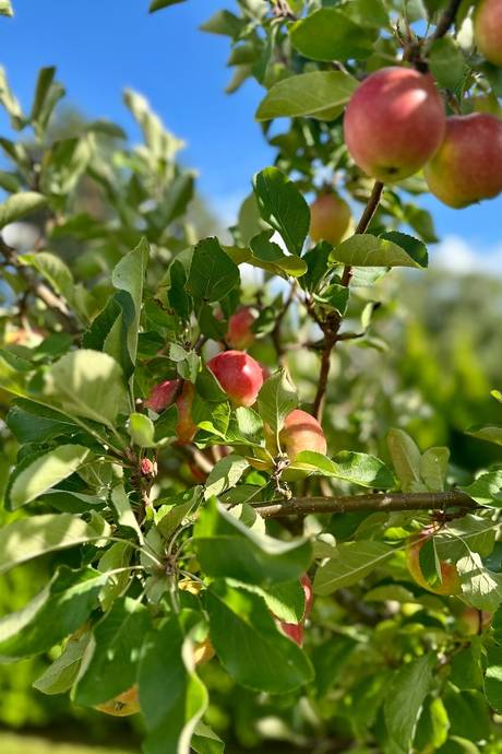 6 rum Parhus på Ardennervägen 2h Svinninge Österåkers kommun - bild 8
