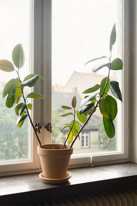 2 rum Lägenhet på Värnhemsgatan 6 Värnhem Malmö kommun - bild 17