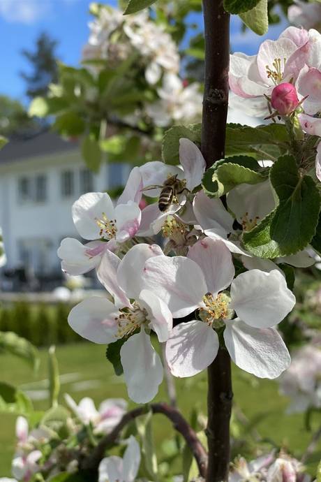 6 rum Parhus på Ardennervägen 2h Svinninge Österåkers kommun - bild 1