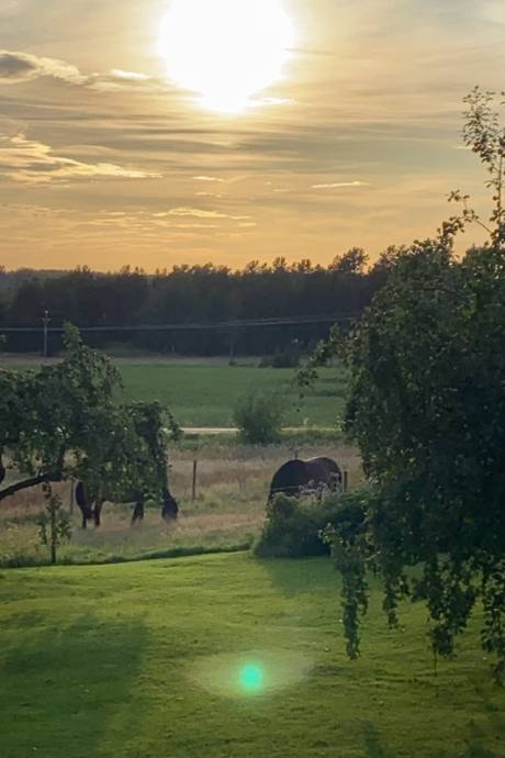 7 rum Villa på Järnbol Dammlyckan   Säffle kommun - bild 53